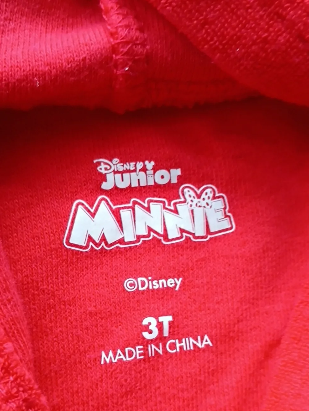 Minnie Mouse Hooded Swim Suit Coverup Or Dress
